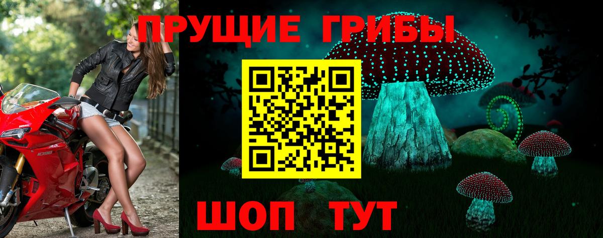 Галлюциногенные грибы Magic Shrooms  Вход с VPN  Карасук  Галлюциногенные грибы Cubensis 