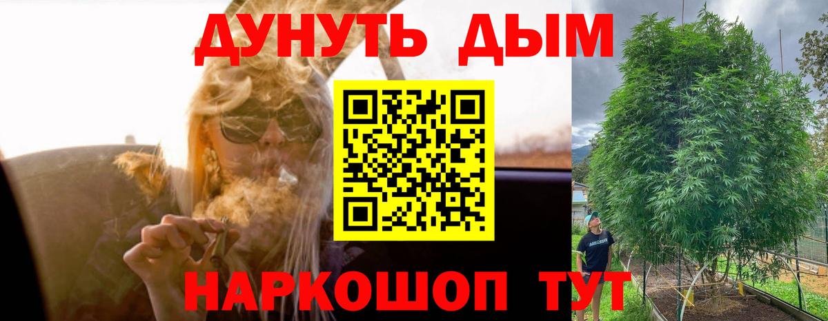 Шишки марихуана тримм  Марихуана White Widow  МАРИХУАНА конопля  Карасук  Вход с VPN  Конопля план 